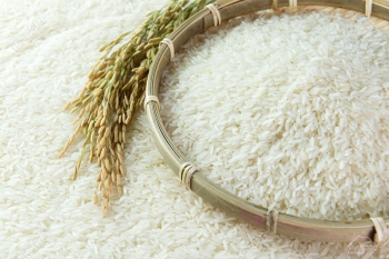 Các sản phẩm từ gạo có thể thay thế cơm